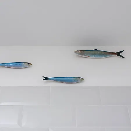 Mediterraneo Loft Appartement Napels